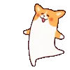 🐶