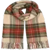 🧣