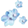 💐