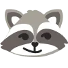 🦝