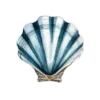 🐚