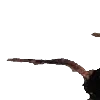 🪳
