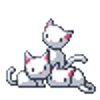 🐱