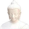 🪷