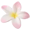 🌸