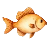 🐟