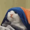 🐱