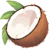 🥥