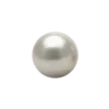 🐚