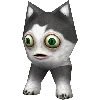 🐱