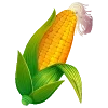 🌽