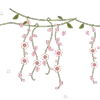 🪻