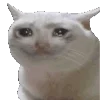 🥺