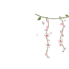 🪻