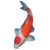 🐠