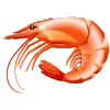 🦐