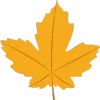 🍁