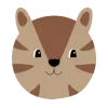 🐯