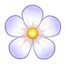🌸