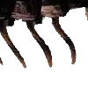 🪳