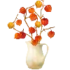 🌼