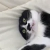 😲