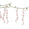 🪻