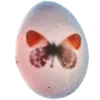 🥚