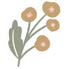 🏵