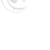 🤩