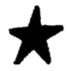 🌟
