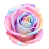 🌺