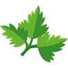 🥬