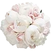 💐