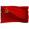 🌐