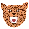 🐯