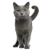 👐