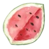🍉