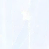 🤩