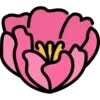 🌺