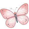 🦋