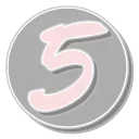 5️⃣