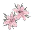 🌺