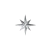 🌟