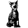 🐱