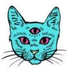 🐱