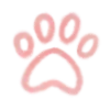 🐱