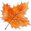 🍂