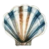 🐚