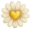 🌼